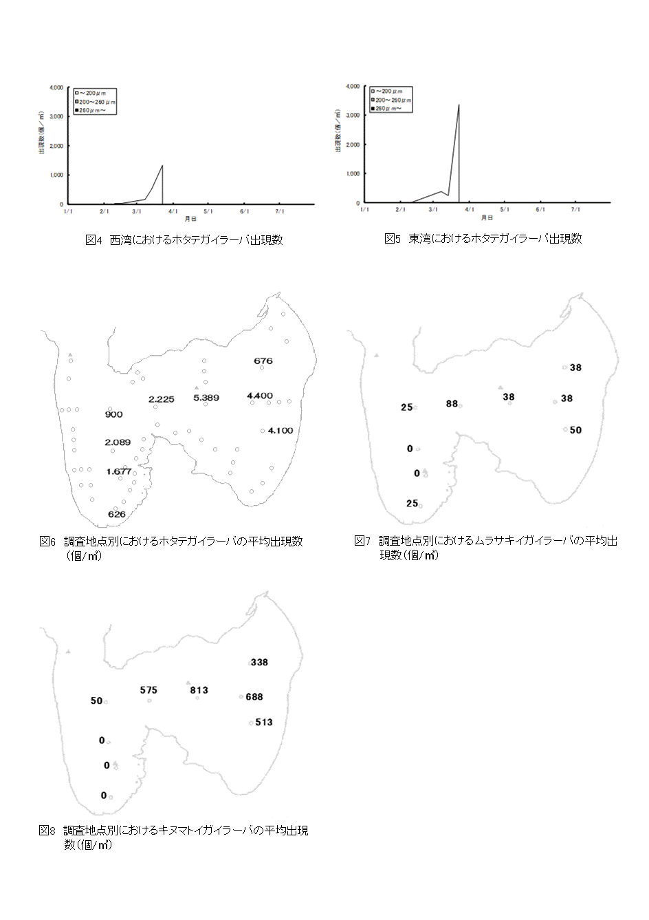 採苗速報第18号-2