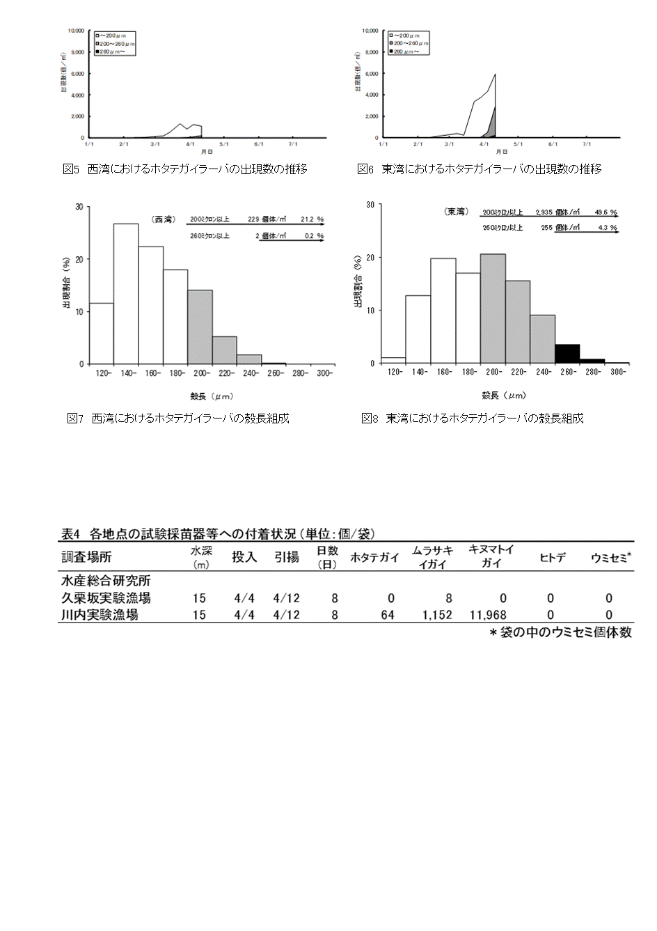 採苗速報第２号3