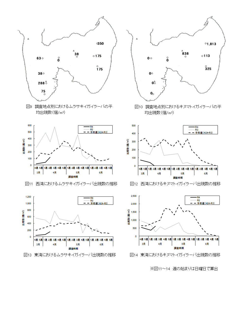 採苗速報第２号4