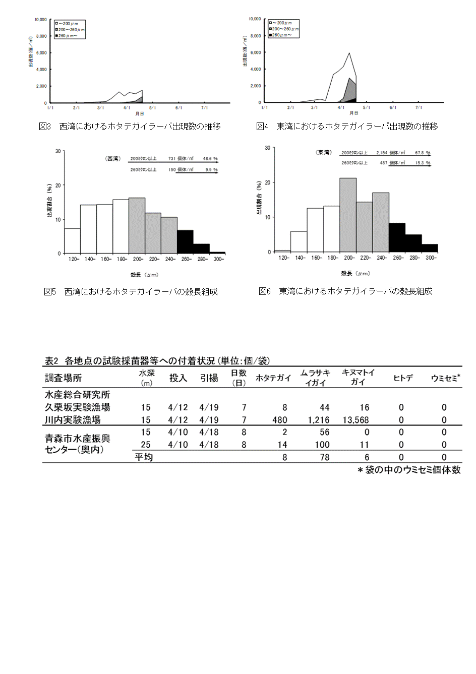 採苗速報第3号2