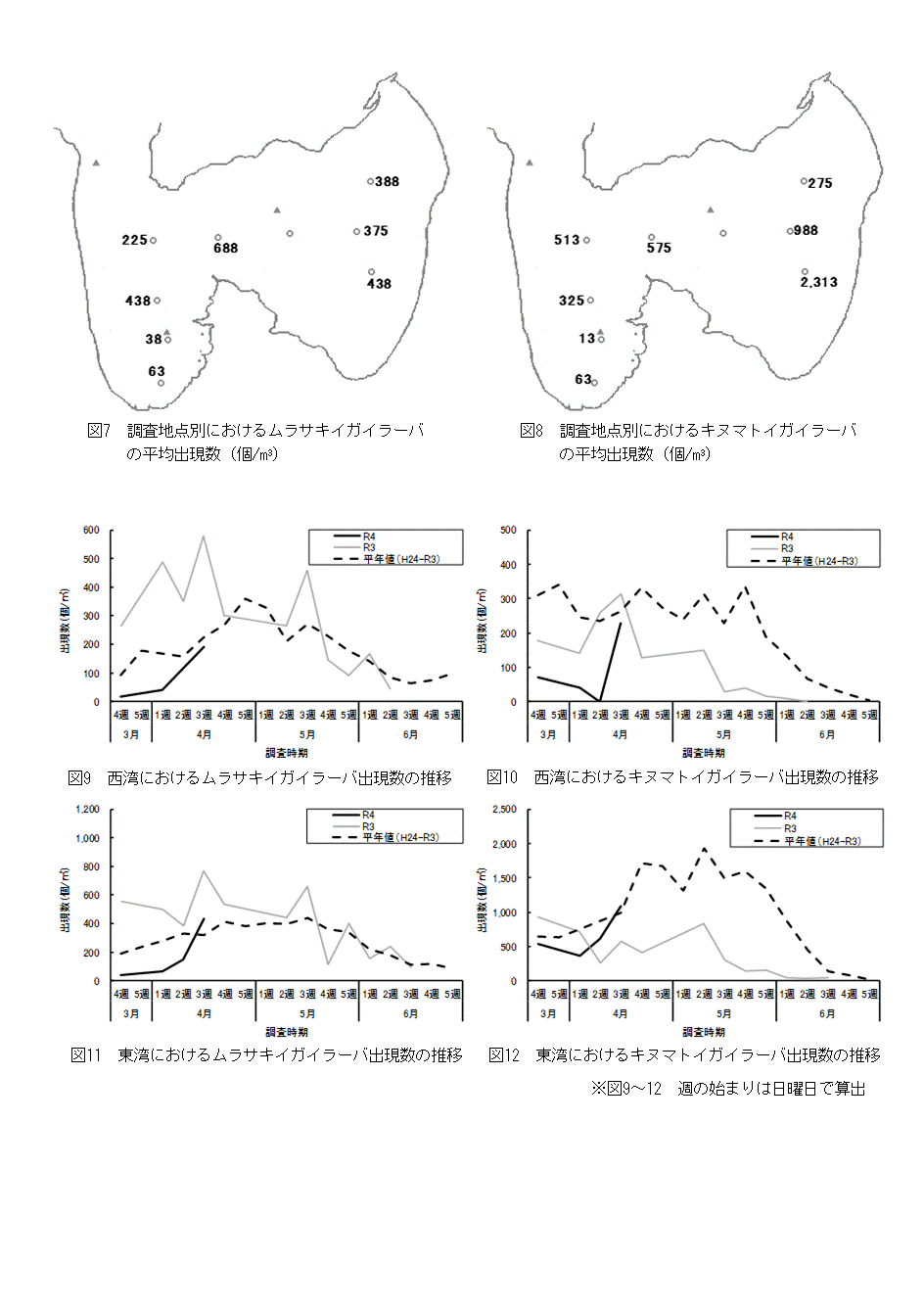 採苗速報第3号3