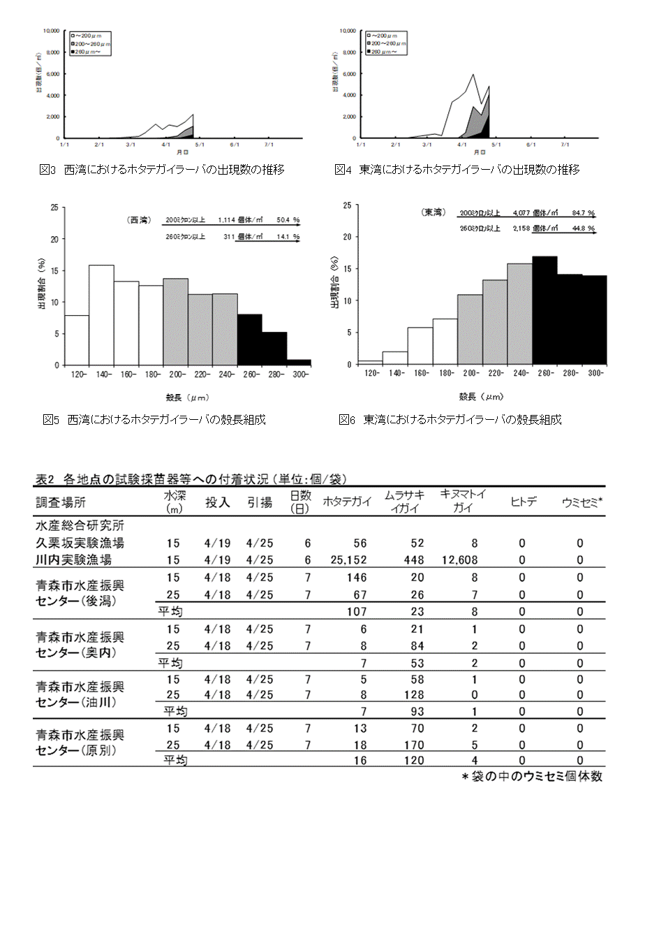 採苗速報第4号2