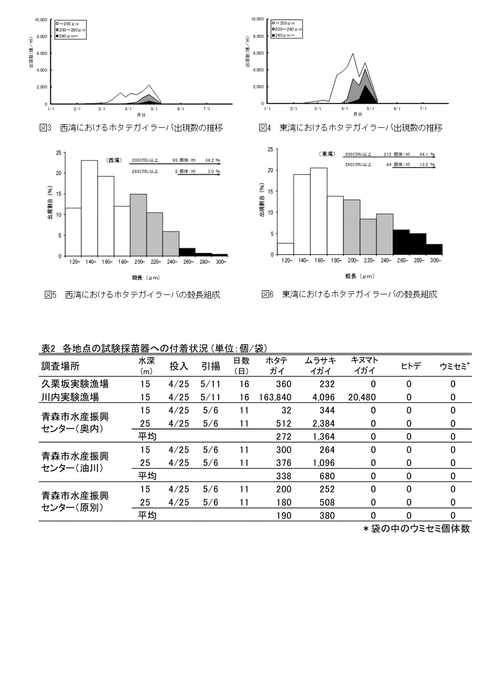 採苗速報第5号2