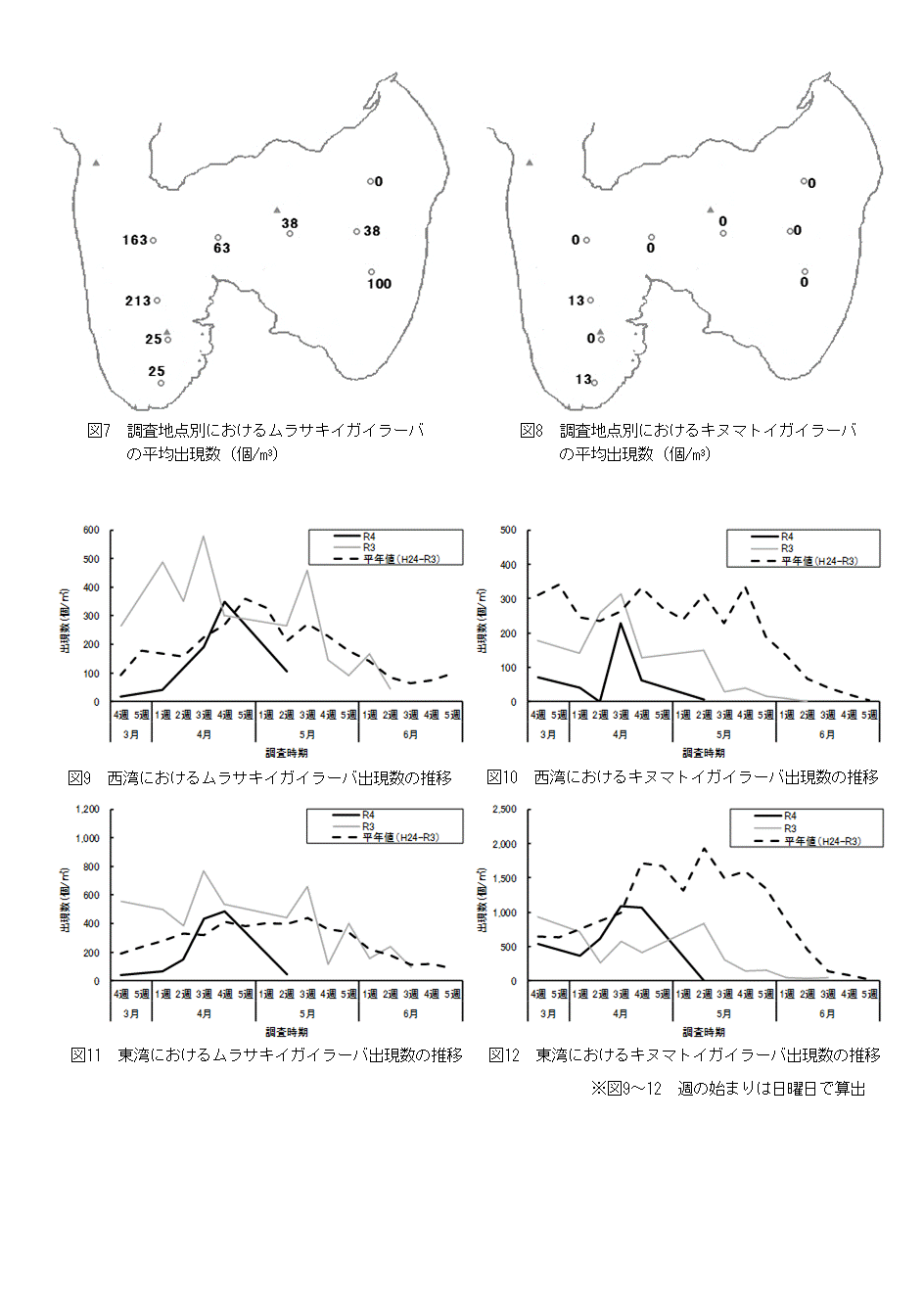 採苗速報第5号3