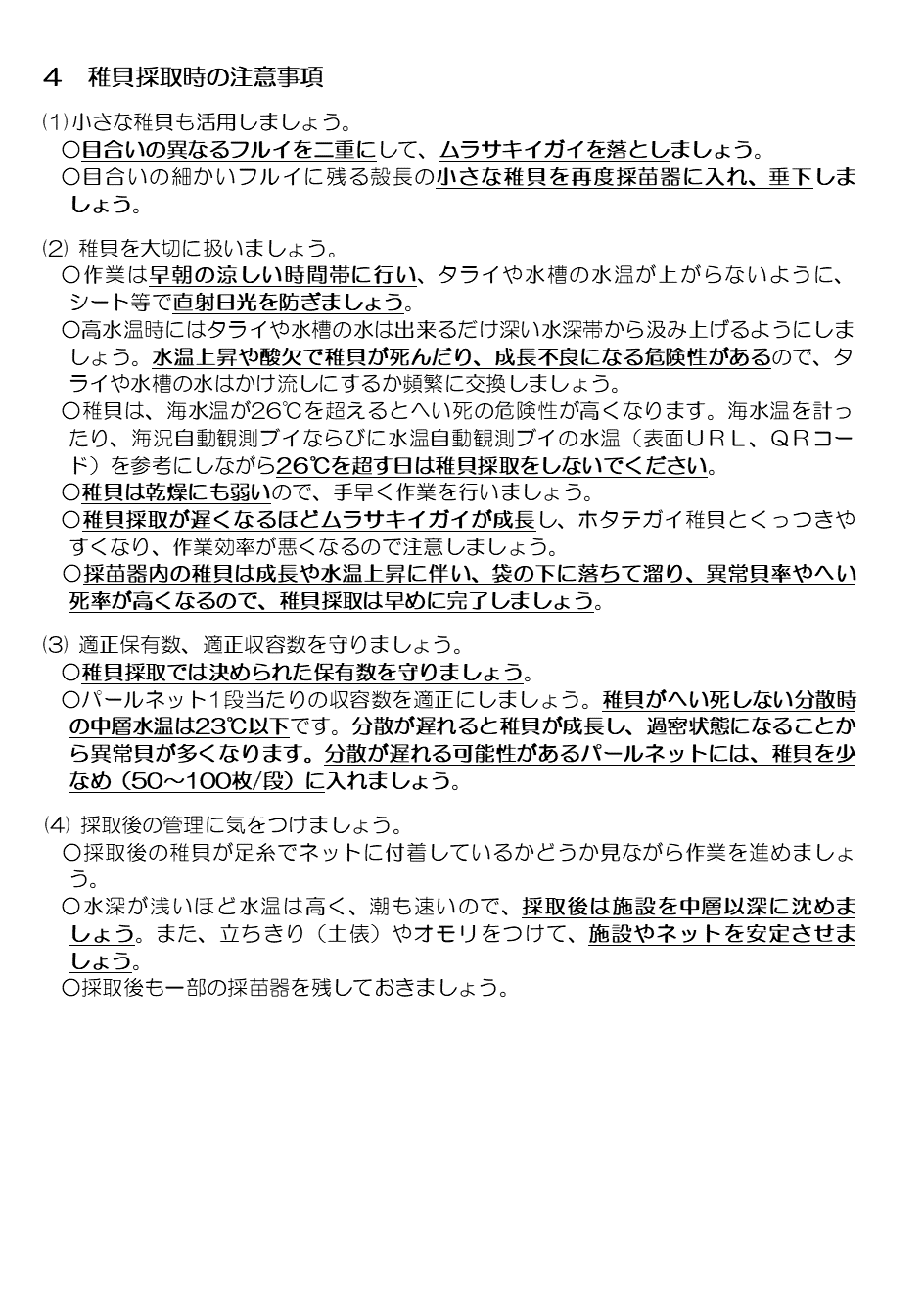 採苗速報第10号2