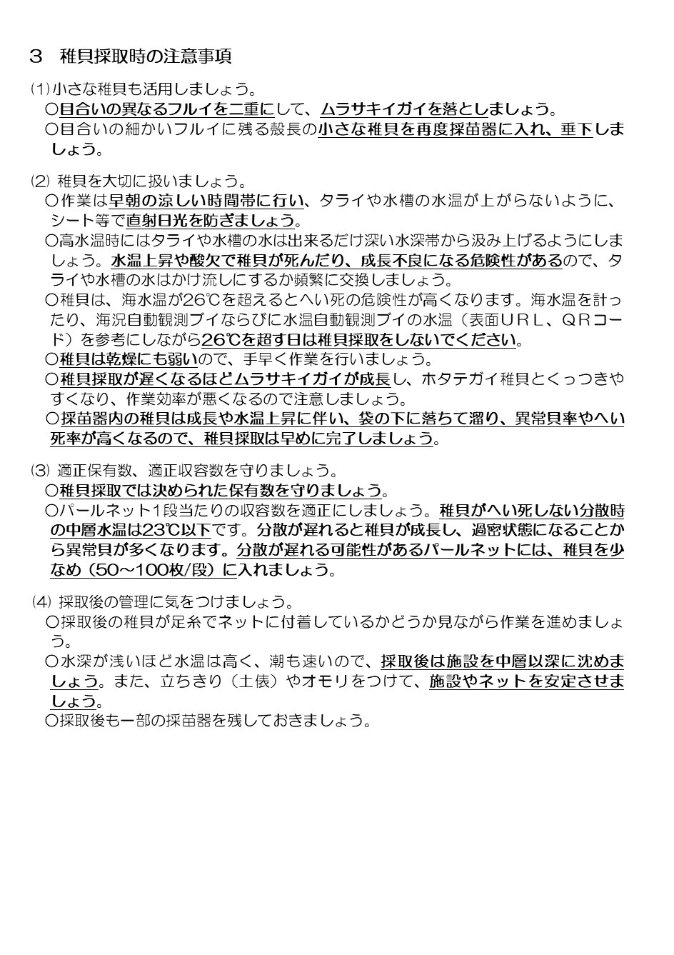 採苗速報第11号2