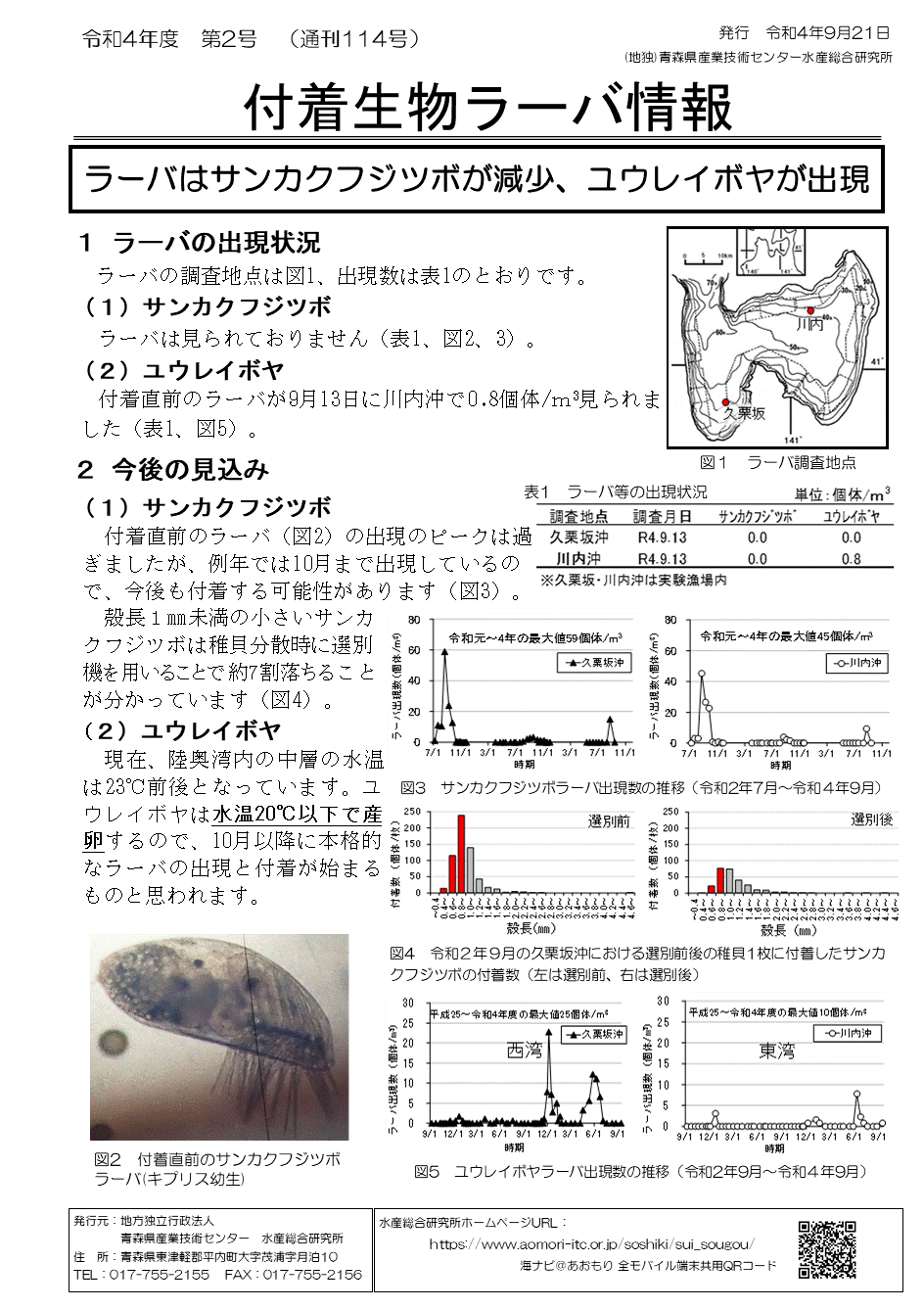 付着物ラーバ情報第2号