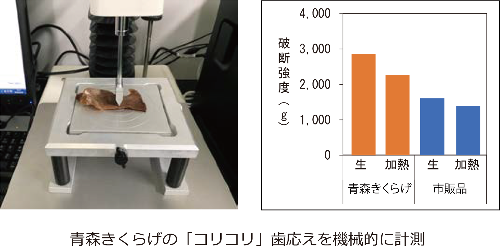 歯ごたえ計測(大)