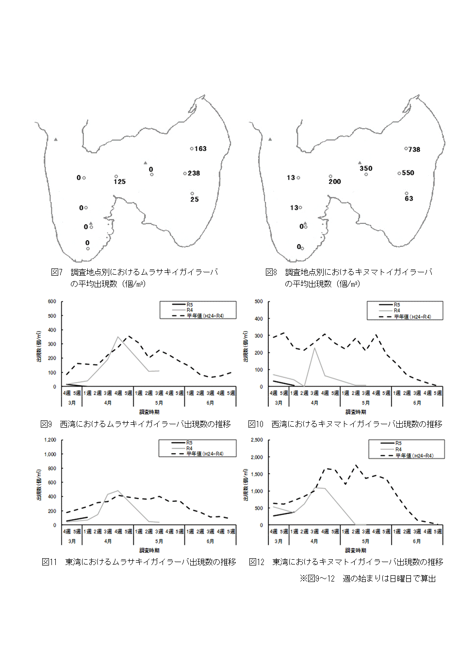 採苗速報第2号4