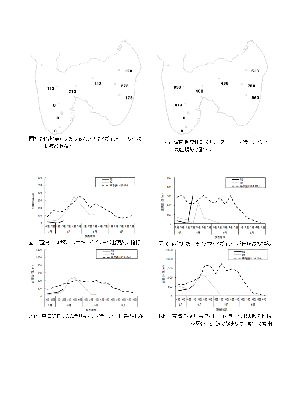 採苗速報第３号4