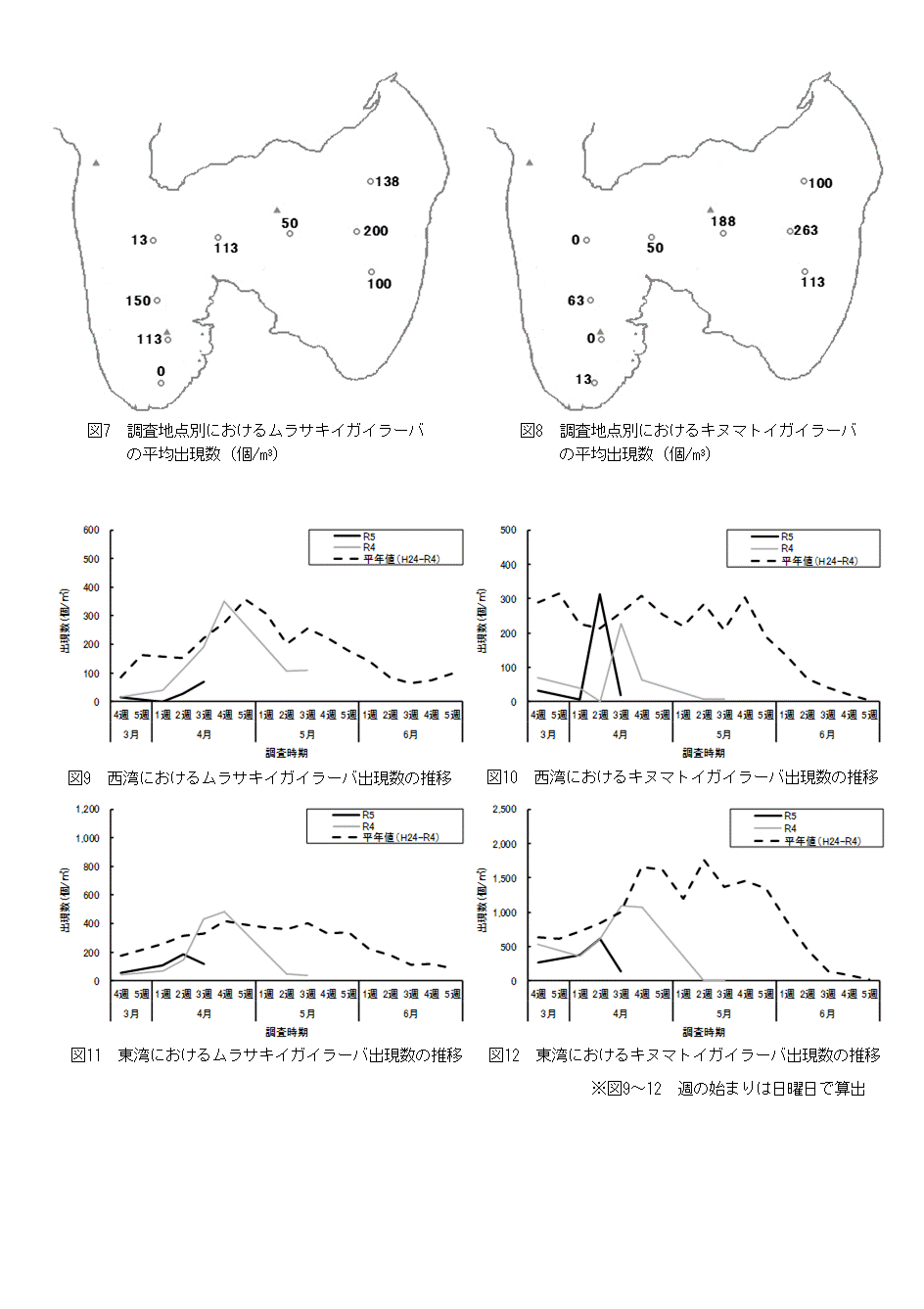 採苗速報第4号4