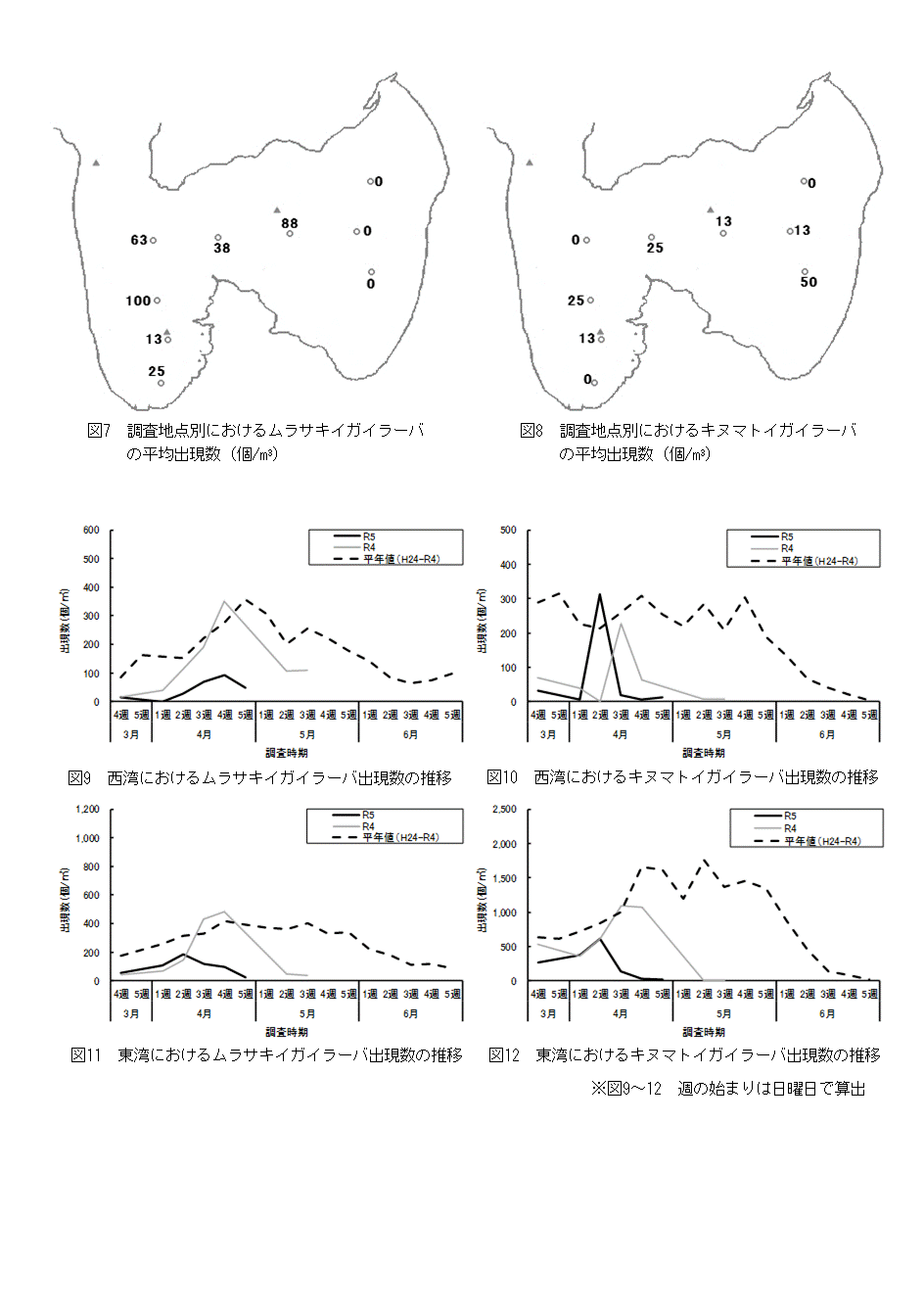 採苗速報第6号3