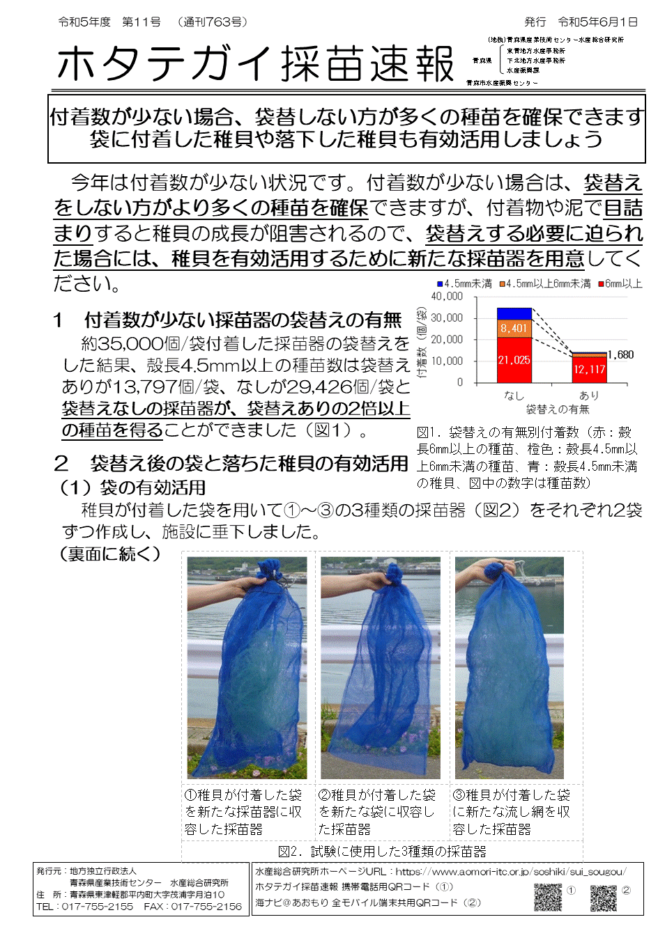 採苗速報第11号1