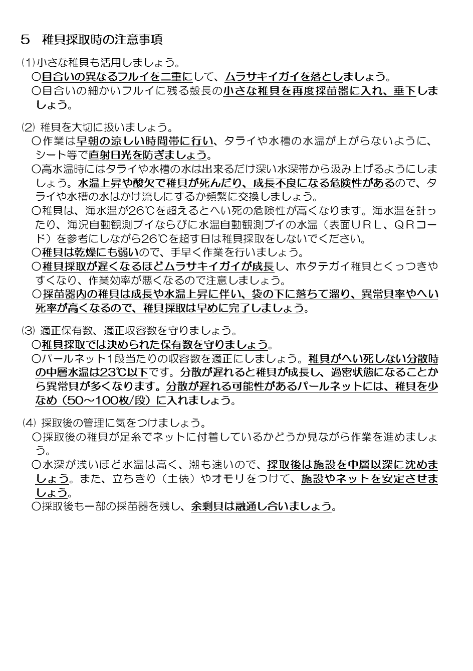 採苗速報第13号2