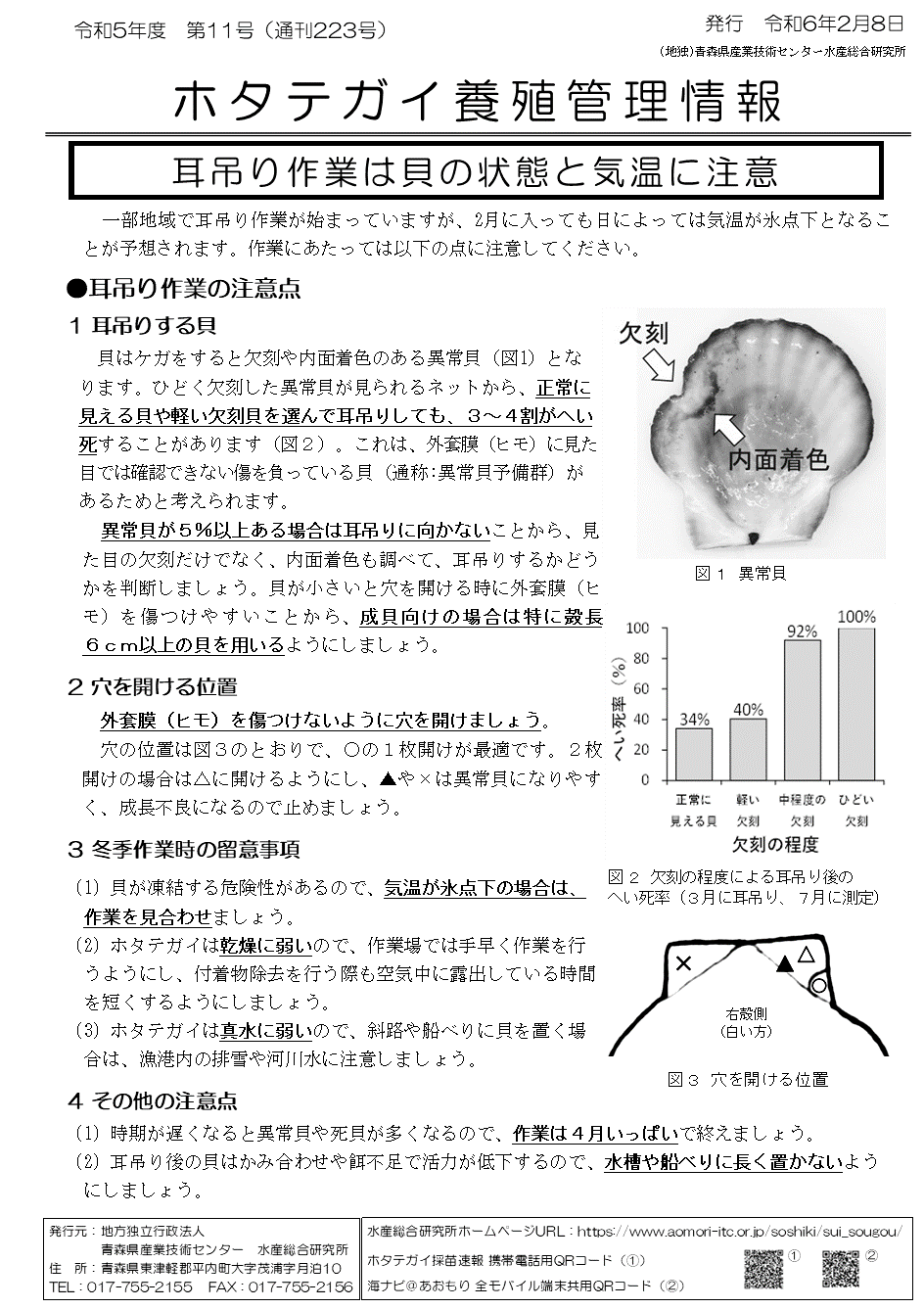 管理情報第11号