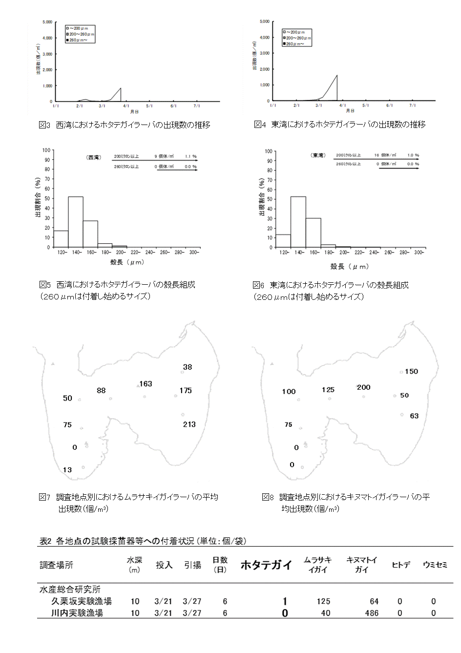 採苗速報第1号2