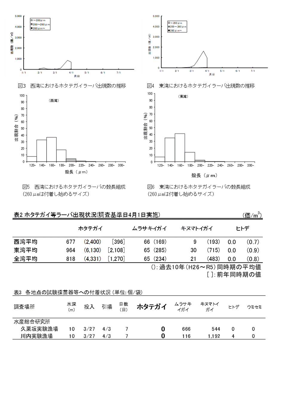 採苗速報第2号2