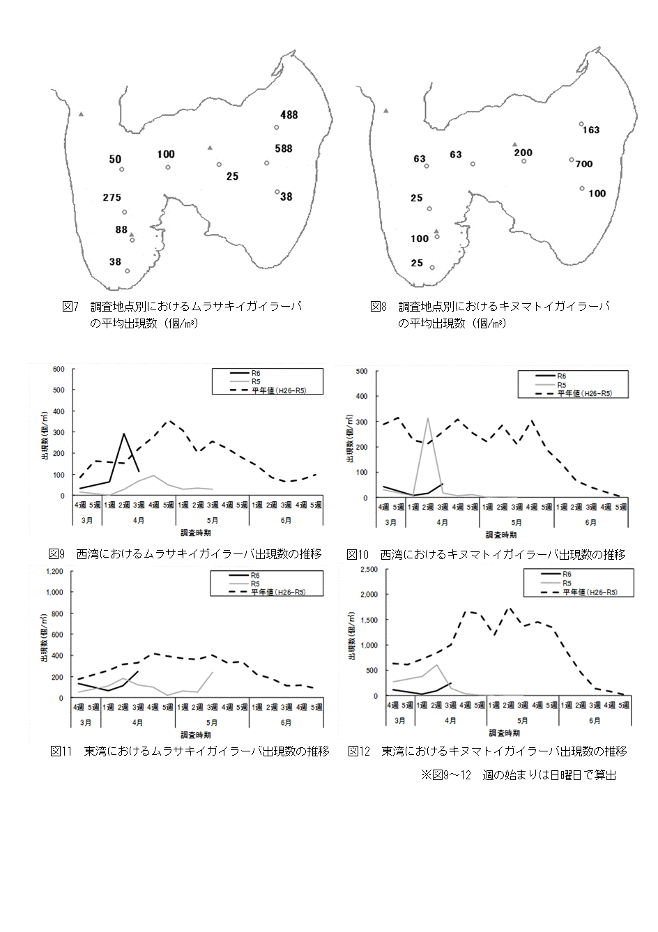 採苗速報第4号3