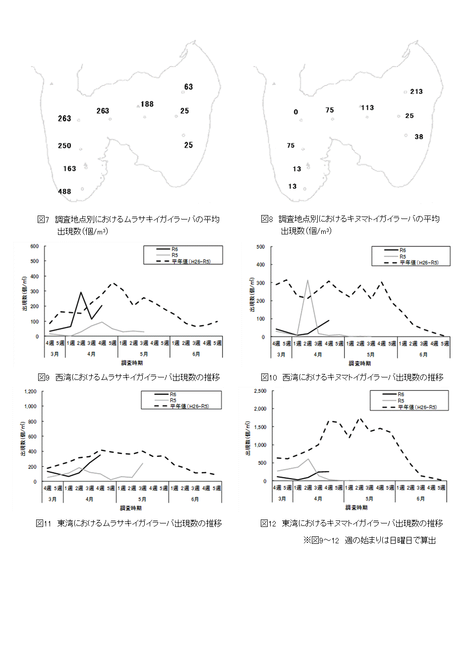 採苗速報第5号5