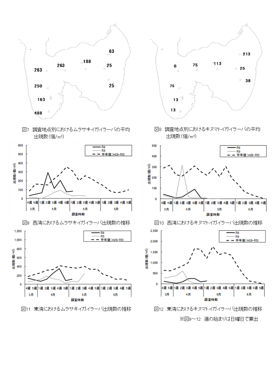 採苗速報第7号5