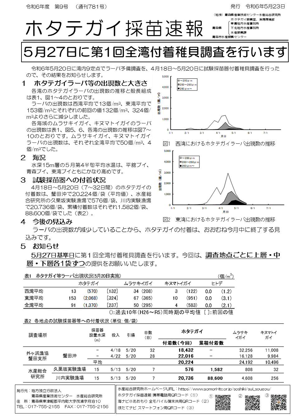 採苗速報第9号１