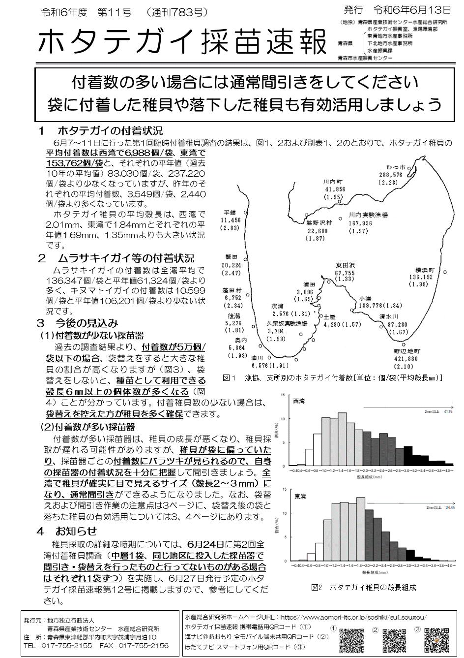 採苗速報第11号1