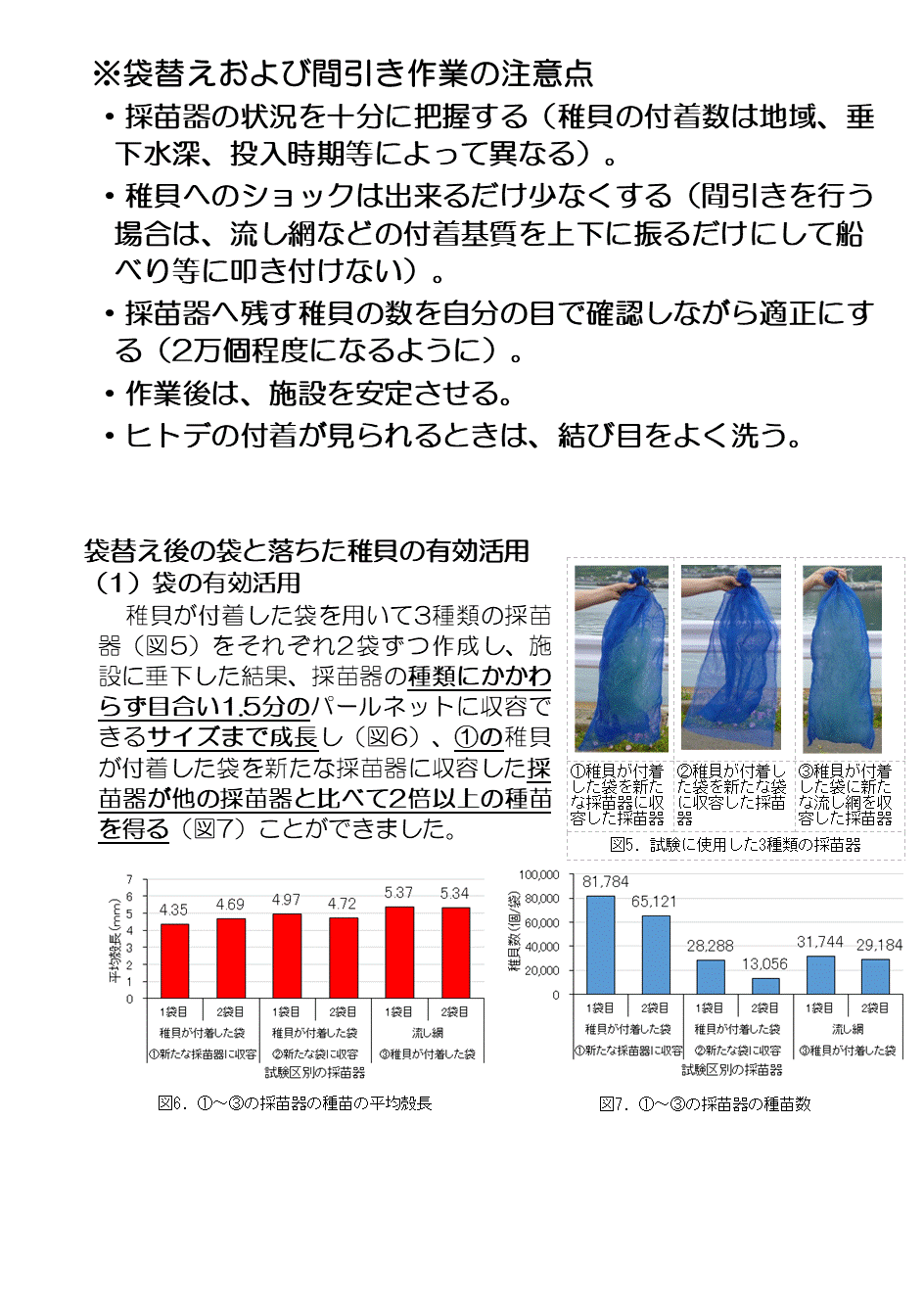 採苗速報第11号3