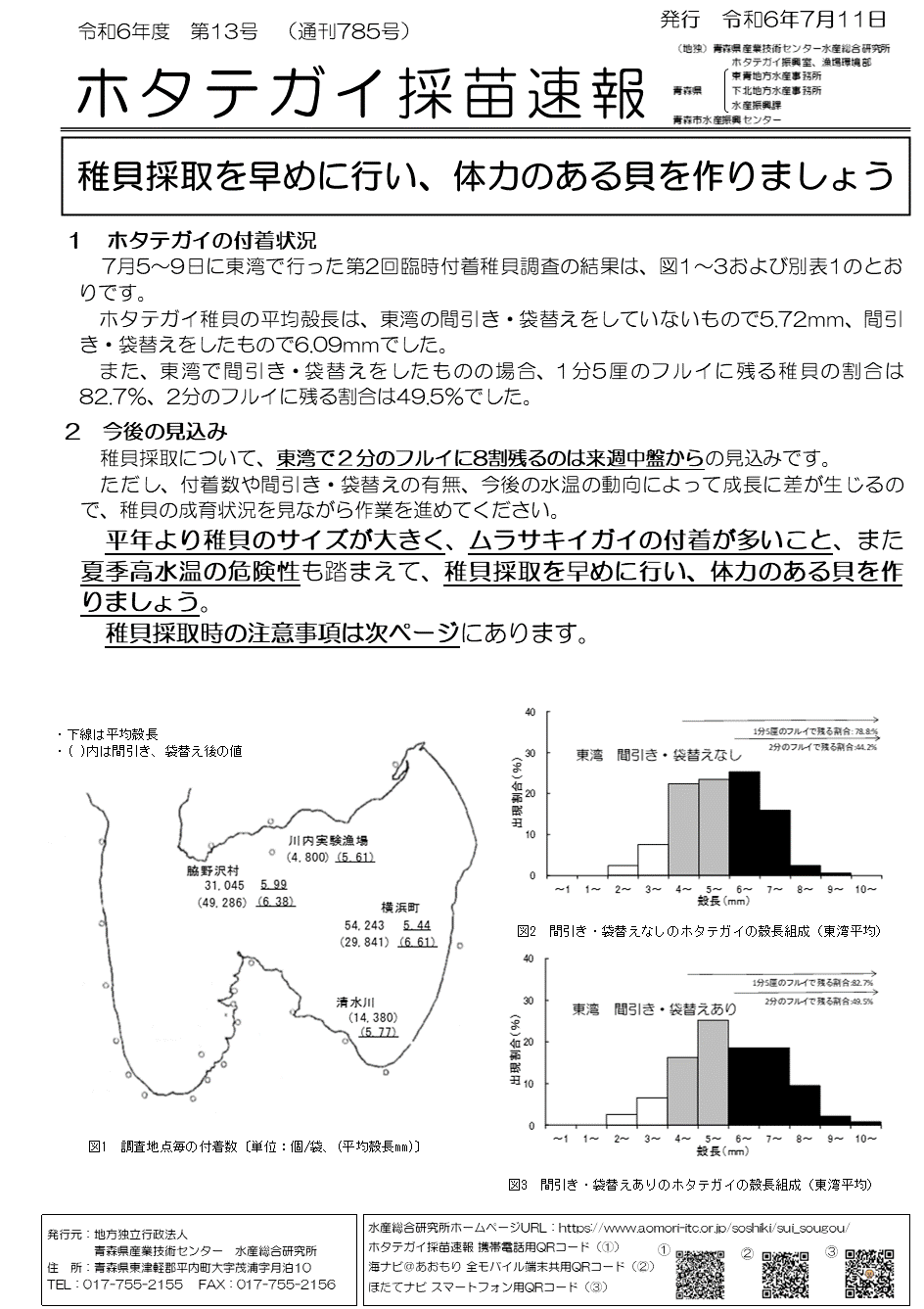 採苗速報第13号1