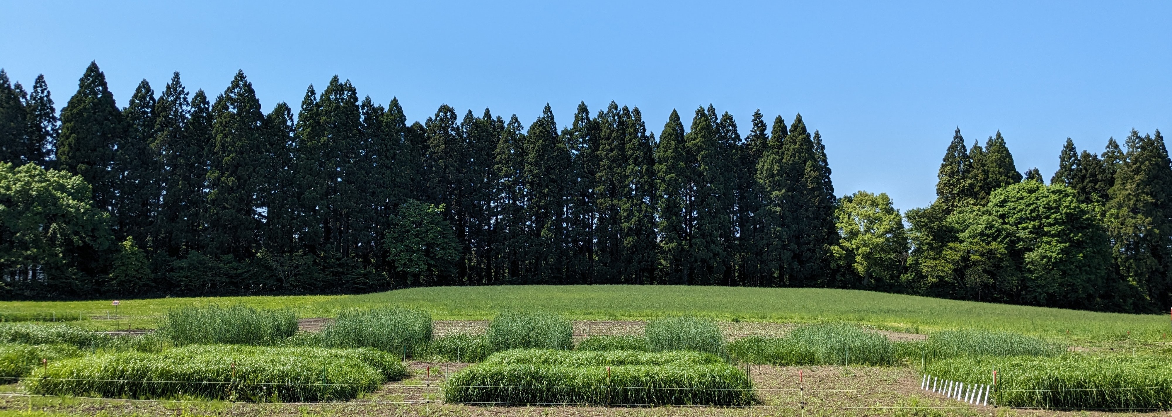 畜産研究所 | 地方独立行政法人 青森県産業技術センター