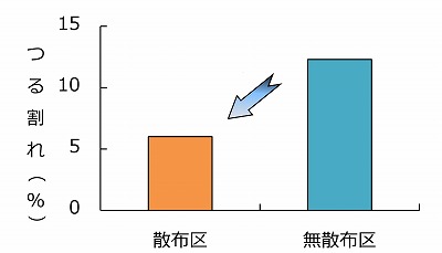 つる割れ軽減効果グラフ.jpg