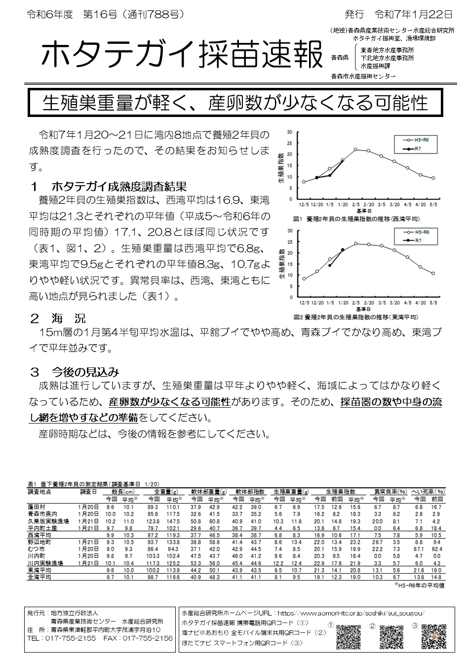 採苗速報第16号.gif