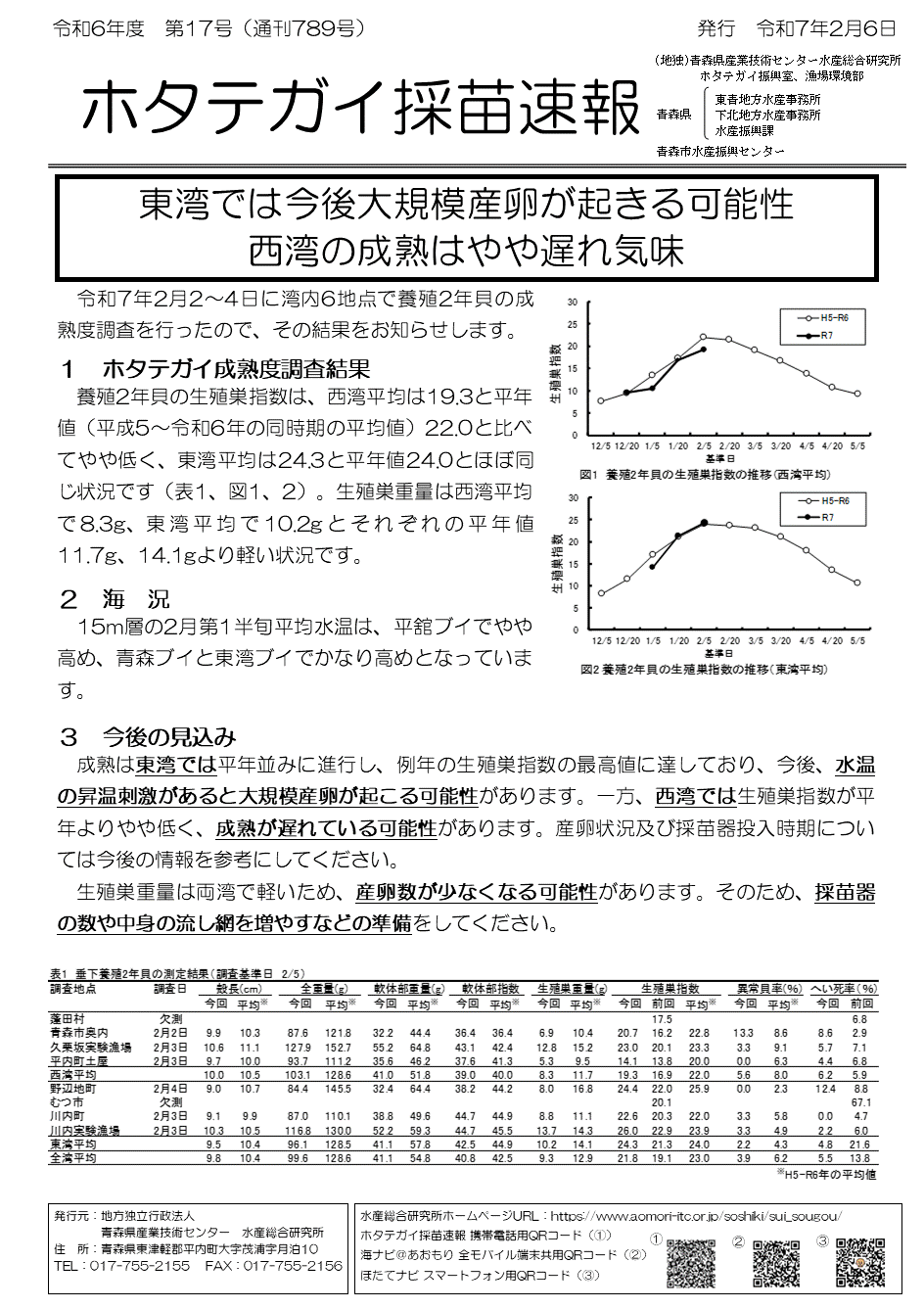採苗速報第17号.gif