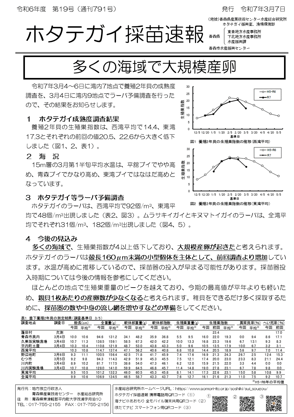 採苗速報第19号1.gif
