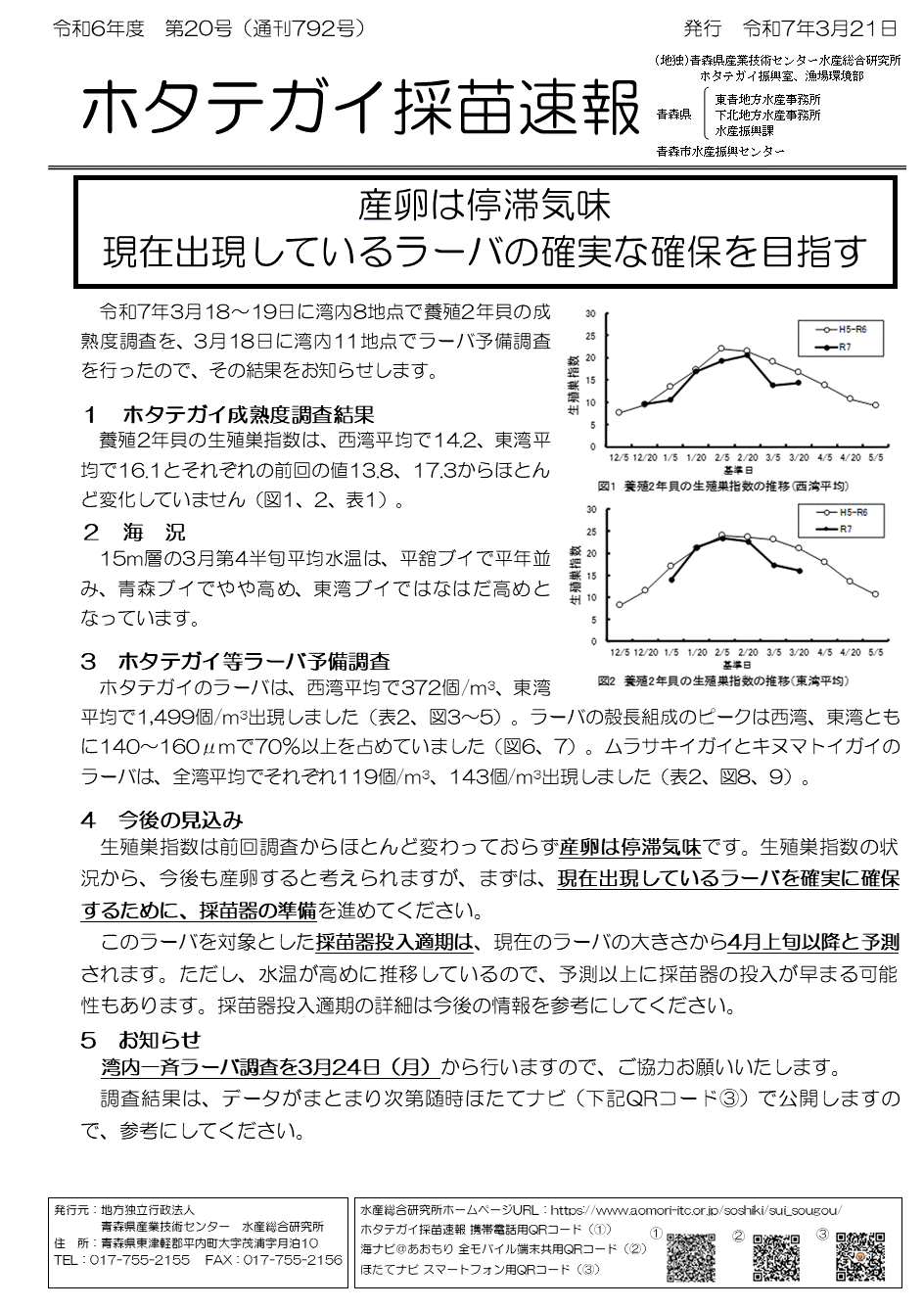 採苗速報第20号1.gif