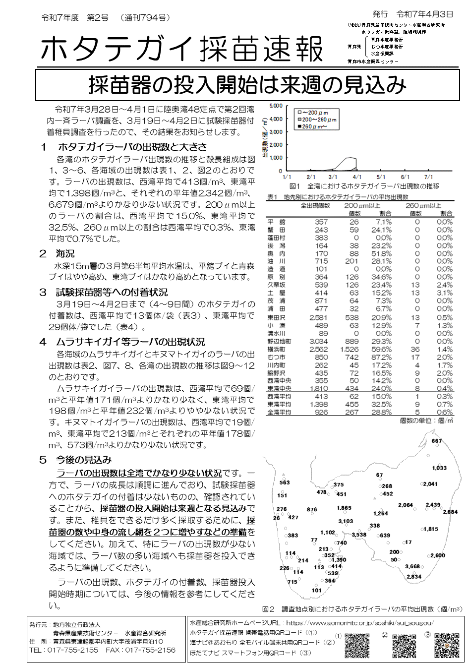 採苗速報２号１