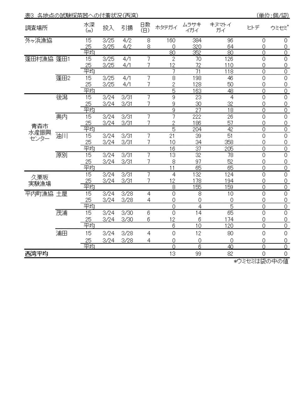 採苗速報２号３