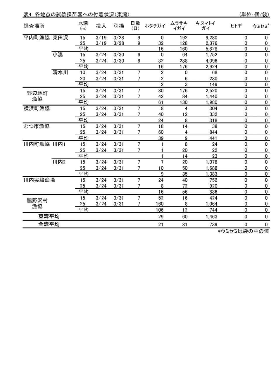 採苗速報２号４