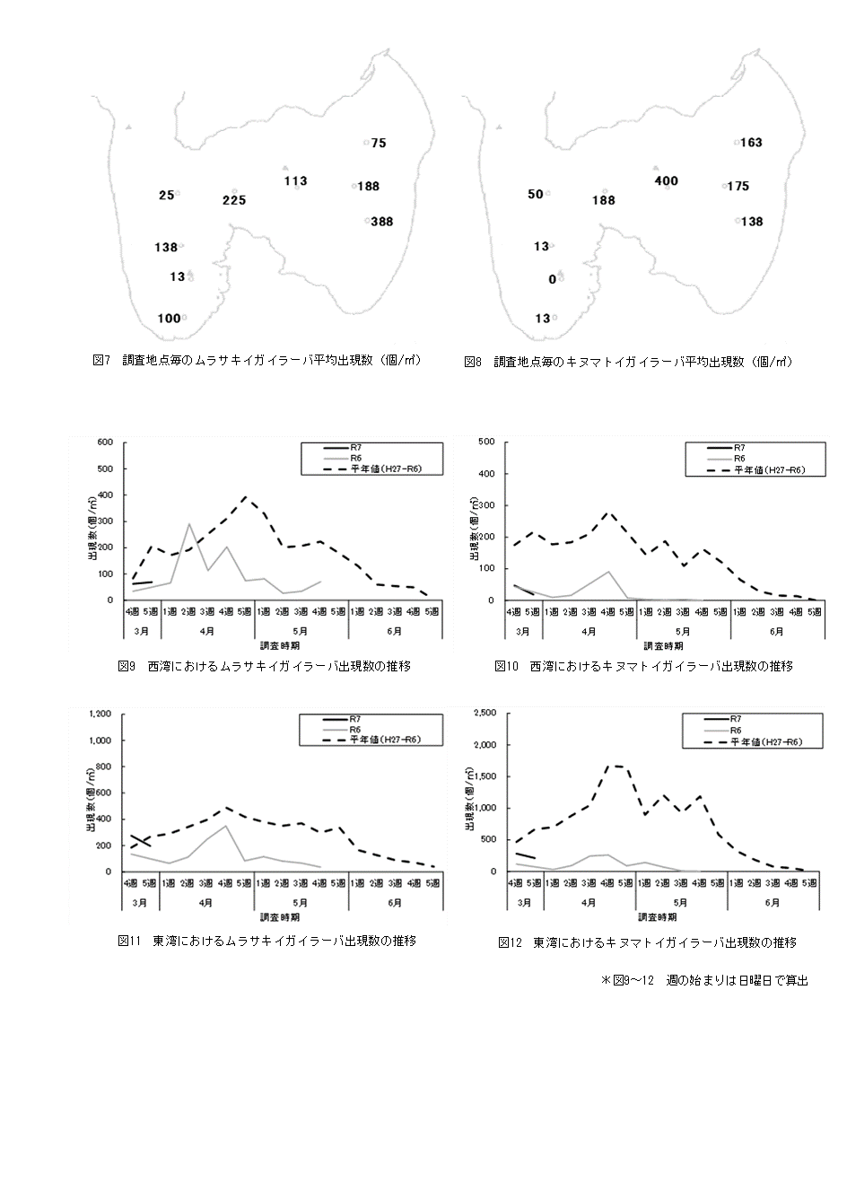 採苗速報２号５