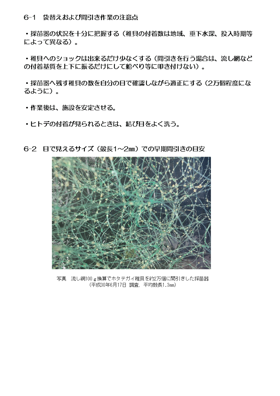 070529s4.gif
