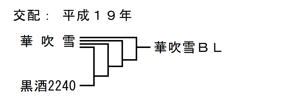 「ゆたかまる」の来歴