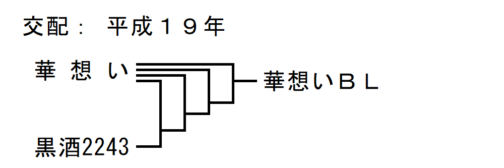 「華想いＢＬ」の来歴