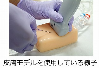 皮膚モデルを使用している様子.jpg
