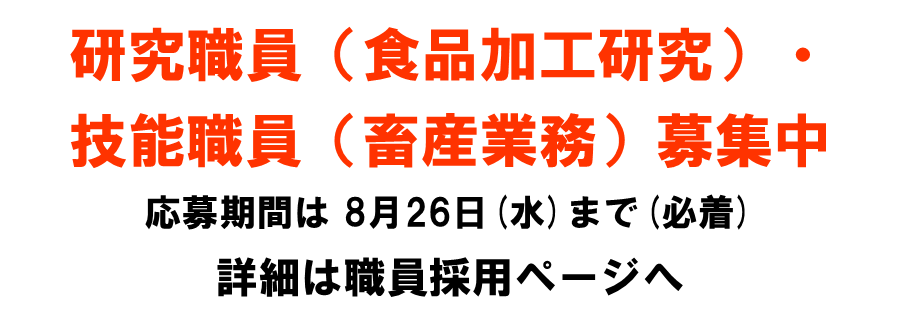 職員募集 職員募集