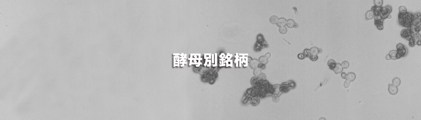 酵母別銘柄