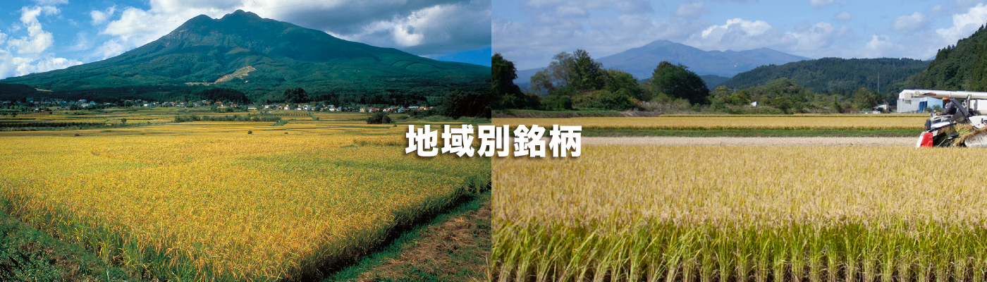 地域別銘柄