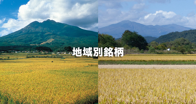 地域別銘柄