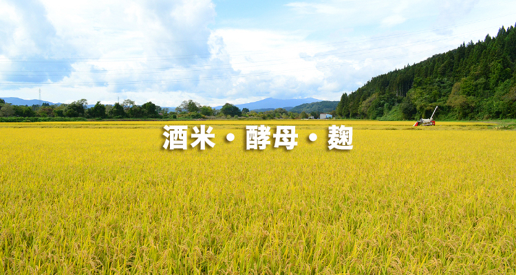 酒米・酵母･麹