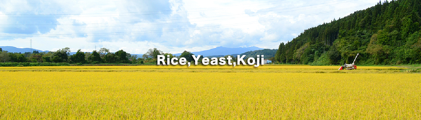 Rice,Yeast,Koji