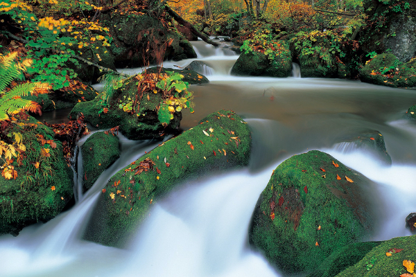 Oirase river, running from Lake Towada to The Pacific Ocean