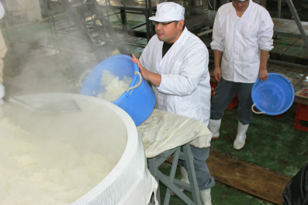 Preparation for fermenting mash